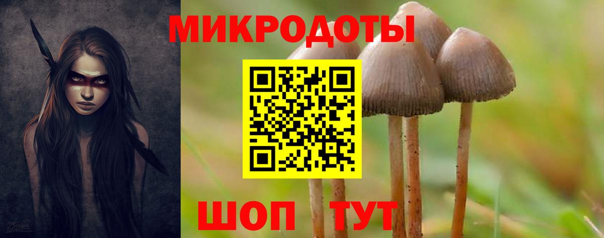 Псилоцибиновые грибы GOLDEN TEACHER  Вход с VPN  Арсеньев 